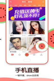 吃瓜视频在线观看免费版,吃瓜视频在线观看新体验